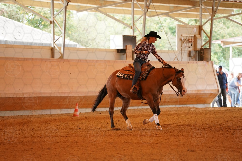 s_A_909450.JPG